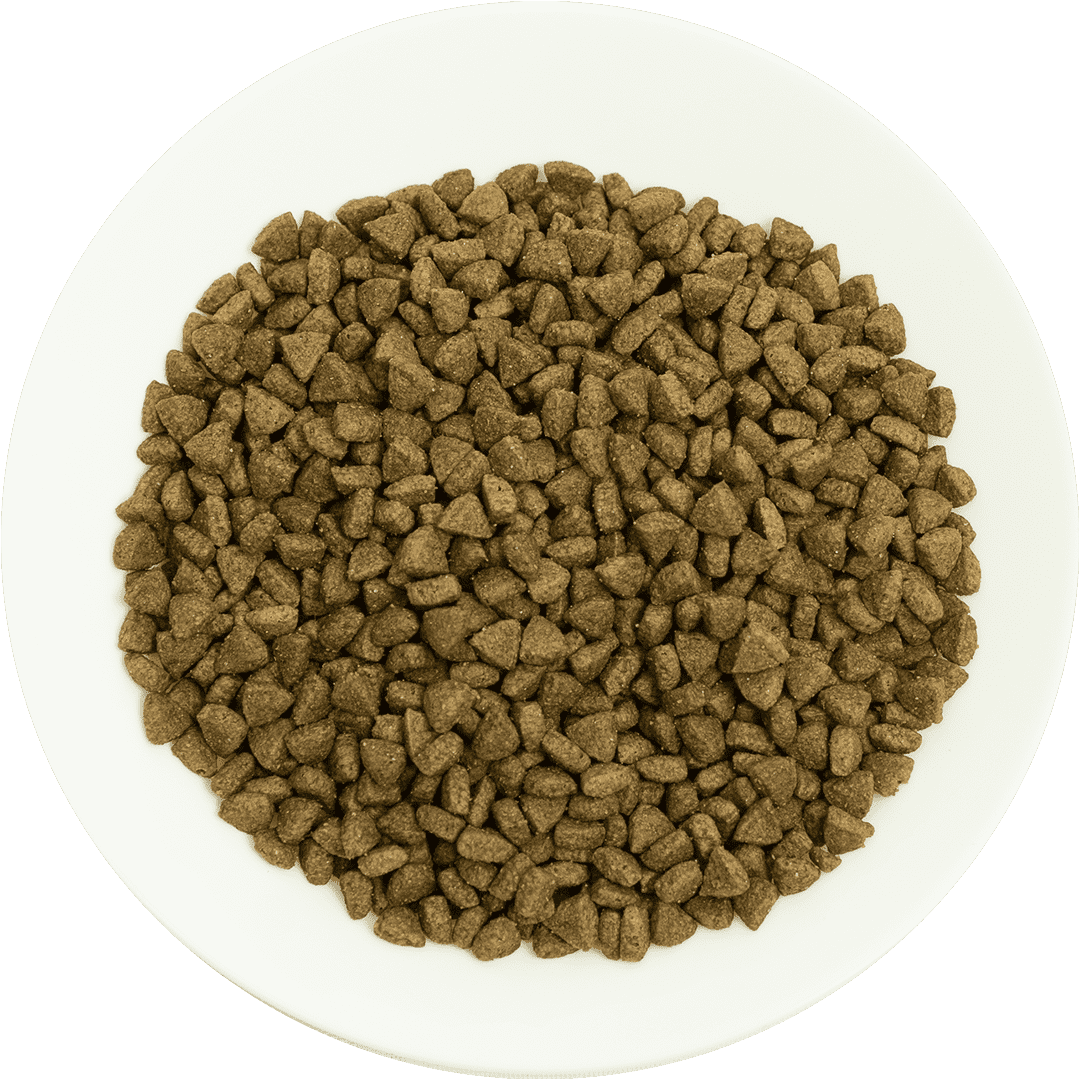 ProChoice Pro 34 Hypoallergenic Salmon & Rice Adult Cat Dry Food 2kg - Image 3