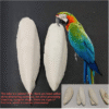 2pcs Natural Cuttlebone for Birds – Beak Grinding Chewing Toy for Parrots and Large Birds