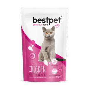 BestPet Kitten Chicken Dry Food 1kg