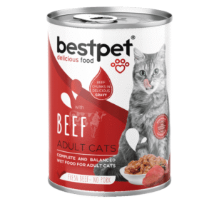 BestPet Cat with Beef in Gravy 400g