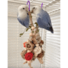 Bird Chewing Stick Toy – Colorful Cage Enrichment 1pc