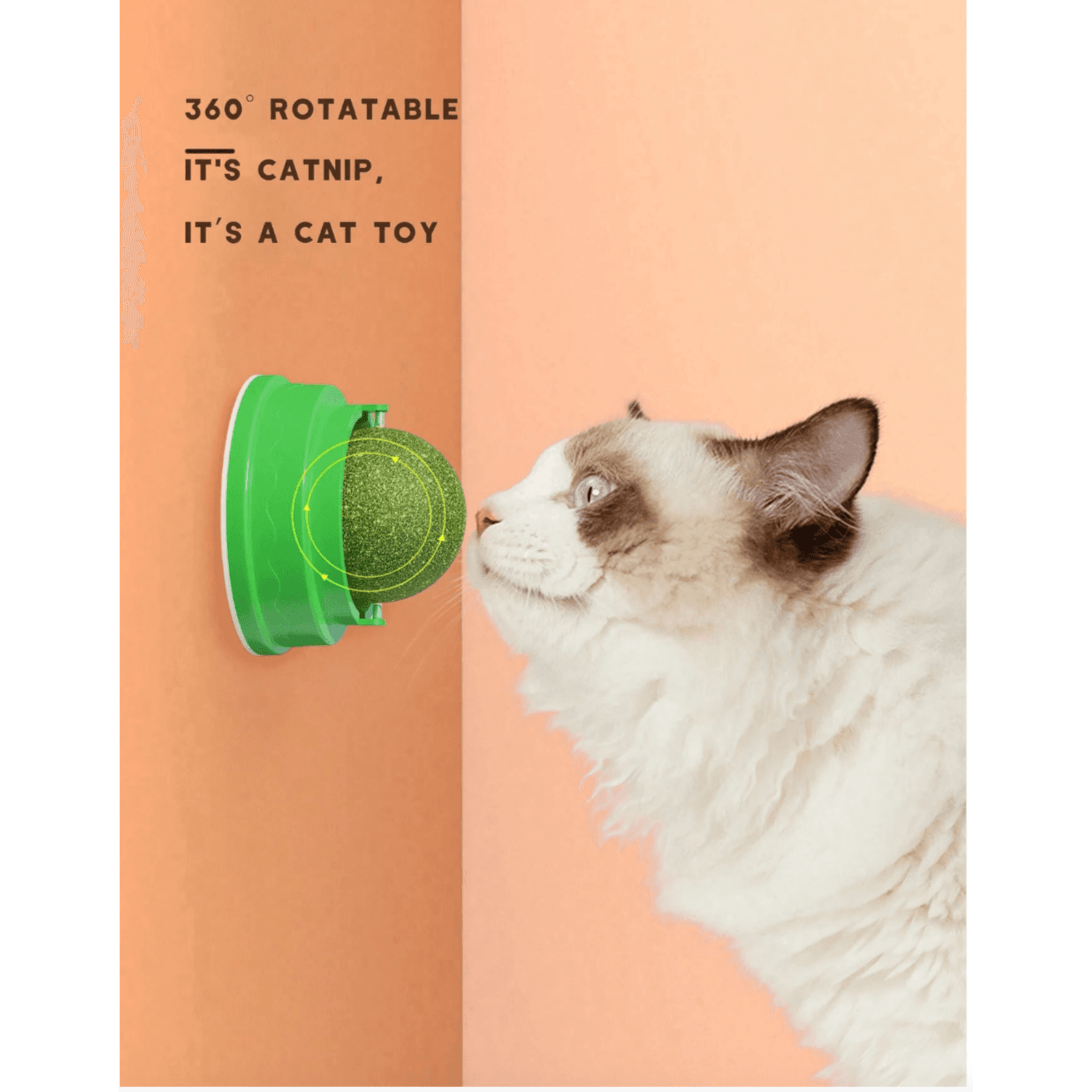 Catnip Ball With Rotating Feature - Teeth Grinding & Digestion Promoting Toy for Cats