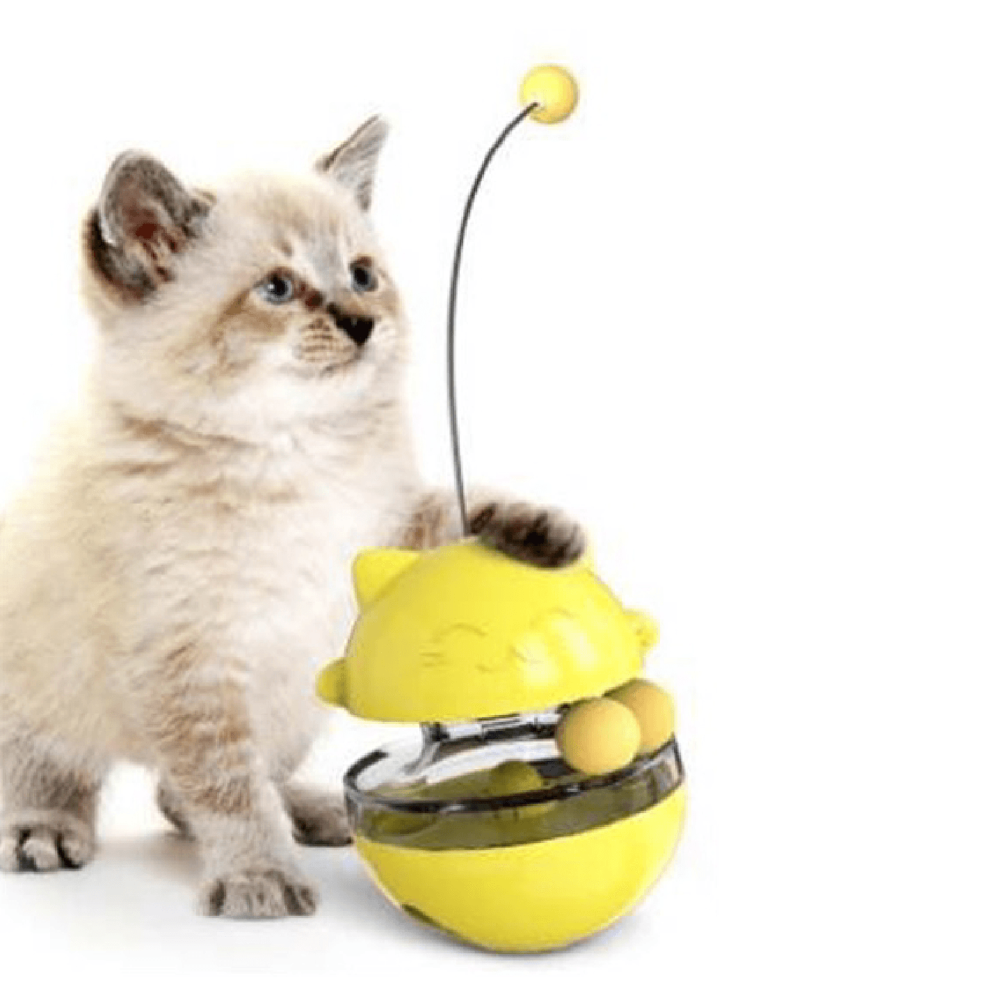 Iteractive Cat Toy