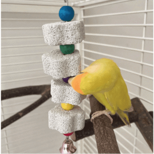 Parrot Calcium Beak Grinding Toy with Bell – Hanging Floral Design (1pc)