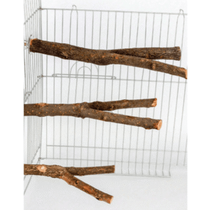 Parrot Wooden Perch – Dual Fork Chew Toy (1pc)