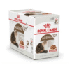 Royal Canin Feline Health Nutrition Ageing 12 Gravy Wet Food Pouches 12 x 85g