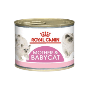 Royal Canin Mother & Babycat Mousse Cat Wet Food Can 195g