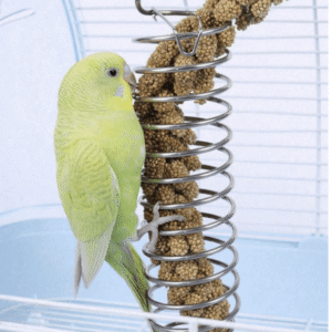 1PC Hanging Bird Feeder - Food Holder for Parrots and Small Birds