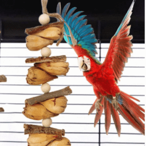 Parrot Bark Toy Pineapple & Starfruit - Cage Hanging (1pc)