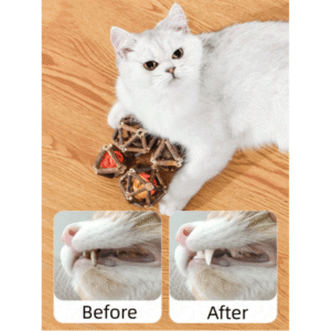 Smart Rolling Wood & Silvervine Cat Toy – L Size, 2 Pcs