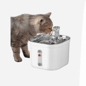 Water Fountain for Pets