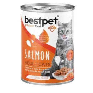 BestPet Cat with Salmon in Gravy Cat400g
