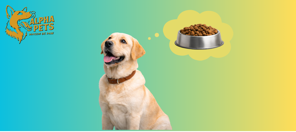 Complete Dog Food Selection Guide Finding Nutrition That Works for Your Dog in Qatar