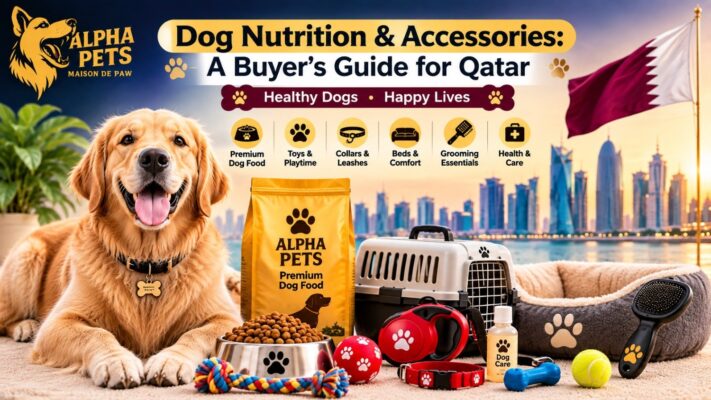 DogNutritionAccessoriesABuyersGuideforQata