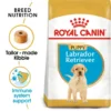 Royal Canin Labrador Retriever Puppy Dry Dog Food 3 kg