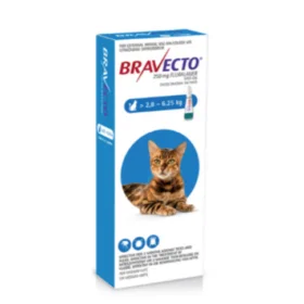 Bravecto Spot-On Solution for Cats (0.89ml, >2.8–6.25kg) – Flea & Tick Protection