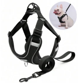 Reflective Mesh Dog Harness & Leash Set – Comfortable Adjustable Fit (Size L)