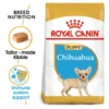Royal Canin Breed Health Nutrition Chihuahua Puppy – Dry Dog Food – 1.5 kg