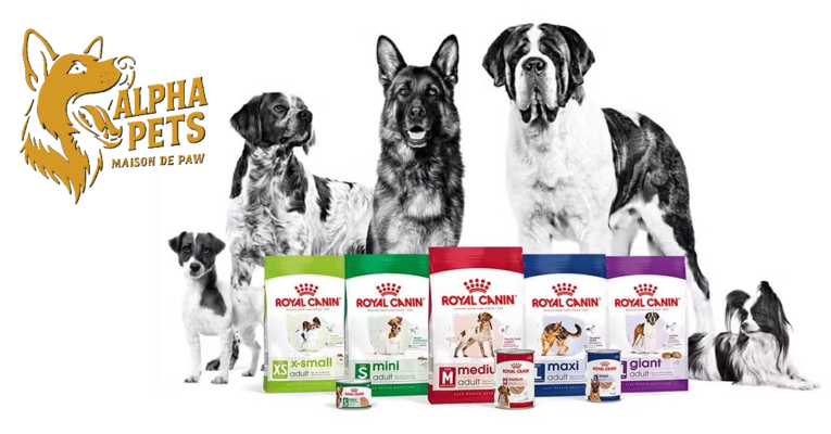 Royal Canin Cat Food Qatar