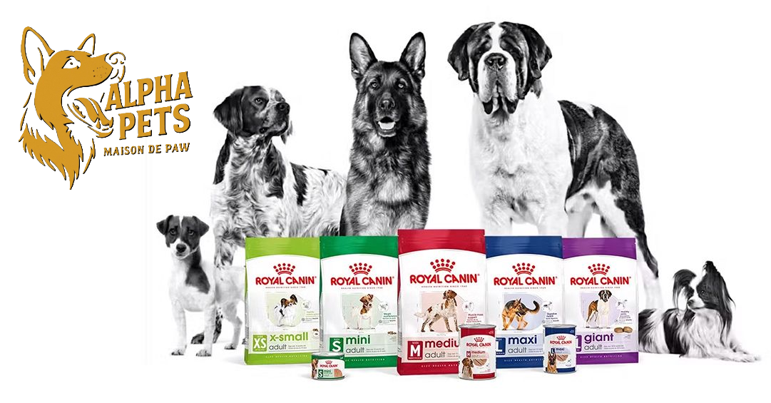 Royal Canin Cat Food Qatar